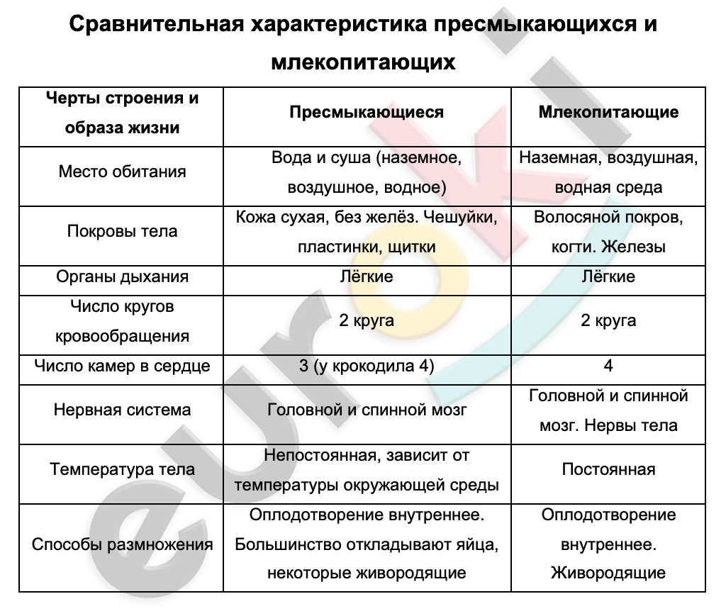 Схема млекопитающих 7 класс по биологии