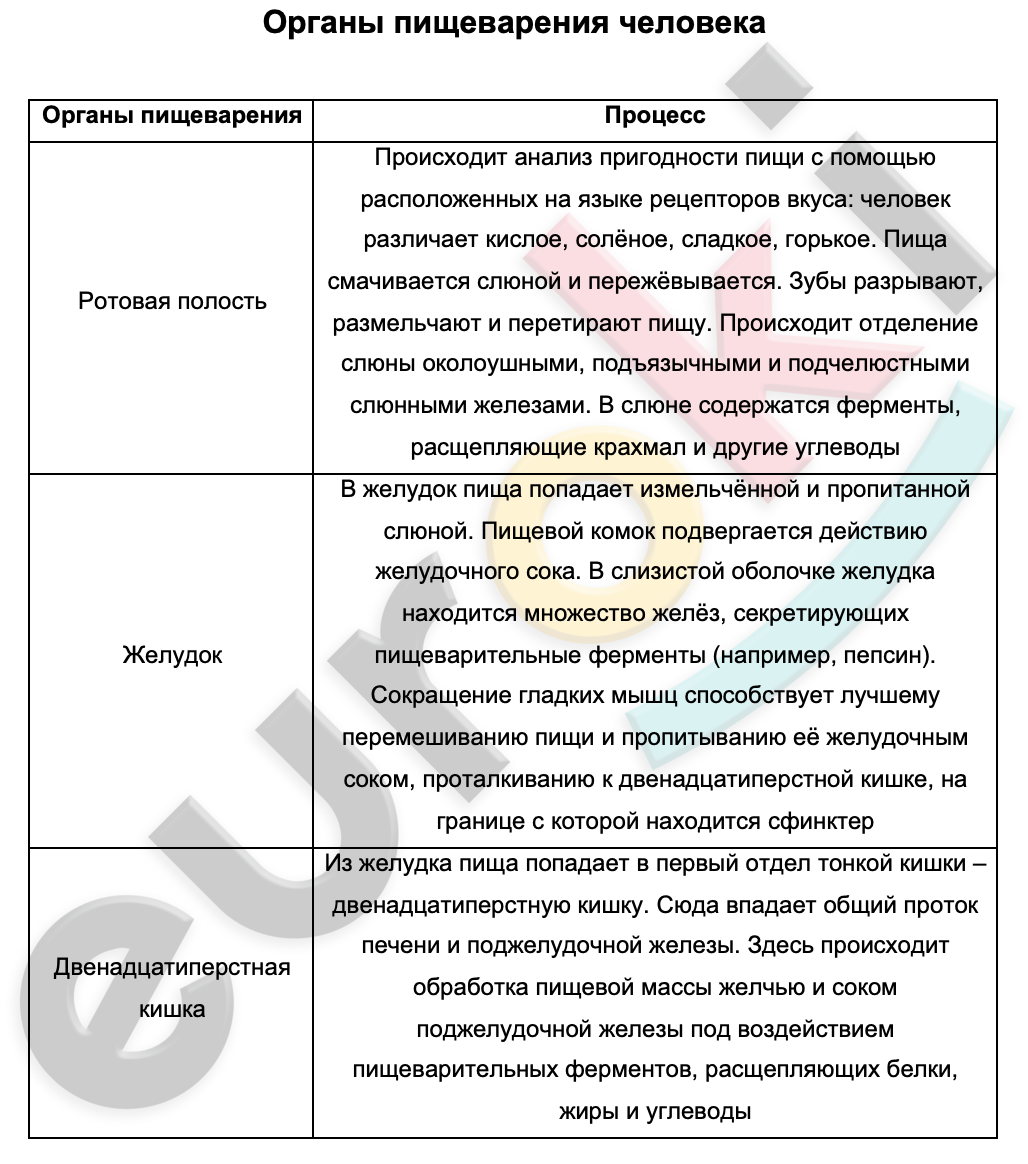 Презентация регуляция пищеварения 8 класс биология