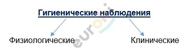 Что изучает анатомия и физиология человека назовите исследовательские методы биология 8 класс