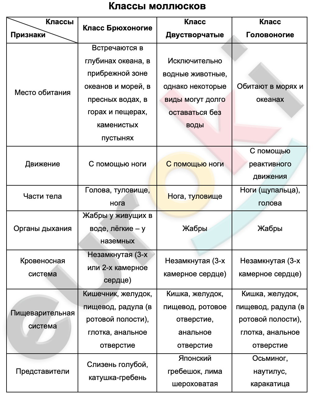 Что обозначено на рисунке цифрой 4