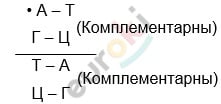 в чем состоит сходство молекул днк и рнк. Смотреть фото в чем состоит сходство молекул днк и рнк. Смотреть картинку в чем состоит сходство молекул днк и рнк. Картинка про в чем состоит сходство молекул днк и рнк. Фото в чем состоит сходство молекул днк и рнк