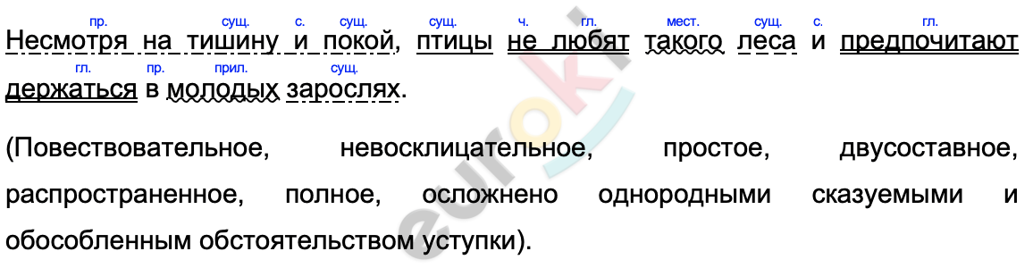 Несмотря на тишину и покой синтаксический разбор. Я люблю Северный лес за торжественную тишину. Я люблю Северный лес за торжественную тишину которая царит. Я люблю Северный лес за завораживающую тишину царящую в нем ВПР. Несмотря на тишину и покой птицы не любят такого леса синтаксический.