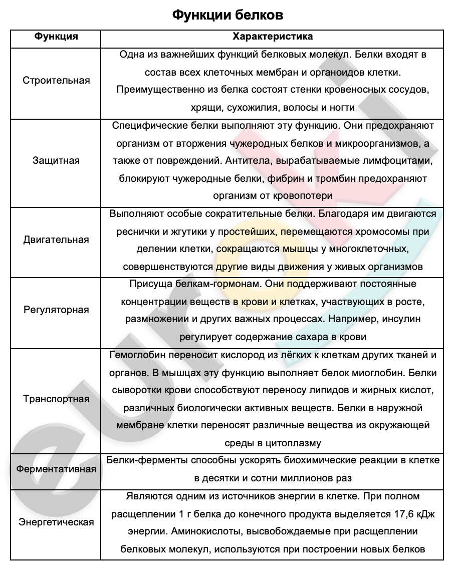 Таблицa по биологии 9 класс Функции белков