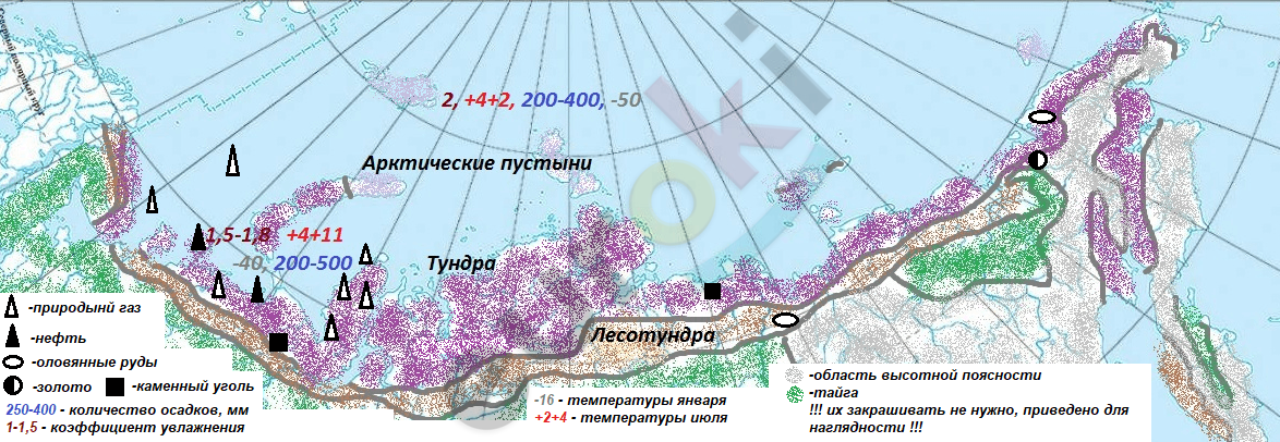 Арктическая пустыня на карте природных зон