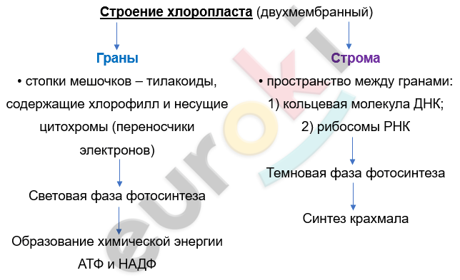 Изображение выглядит как текст, снимок экрана, Шрифт, линия Автоматически созданное описание