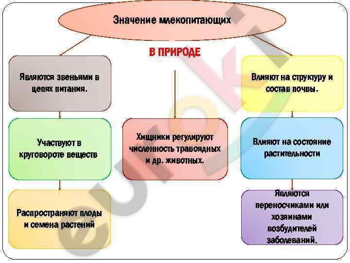 Фгос 2023 8 класс