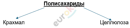 Изображение выглядит как текст, линия, Шрифт, снимок экрана Автоматически созданное описание