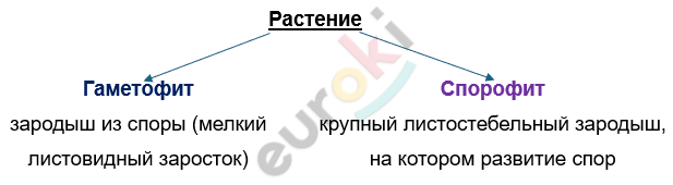 Изображение выглядит как текст, Шрифт, снимок экрана, линия Автоматически созданное описание