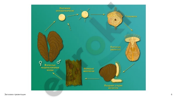 Diagram Description automatically generated